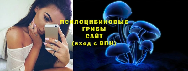 дурь Абаза