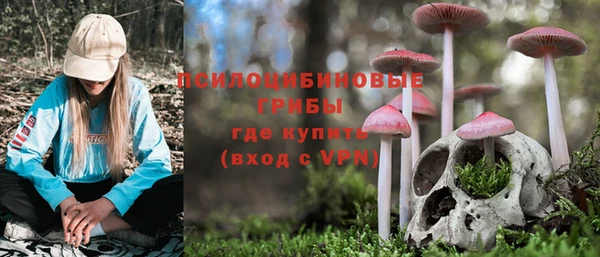 марки nbome Алексеевка
