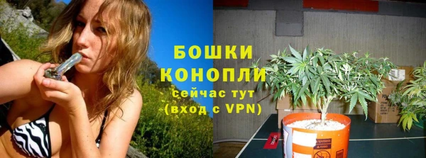 ГАЛЛЮЦИНОГЕННЫЕ ГРИБЫ Абинск